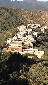 NEDROMA (2)